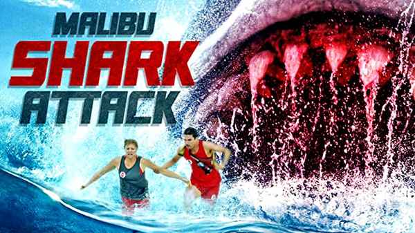 Malibu Shark Attack Poster 7