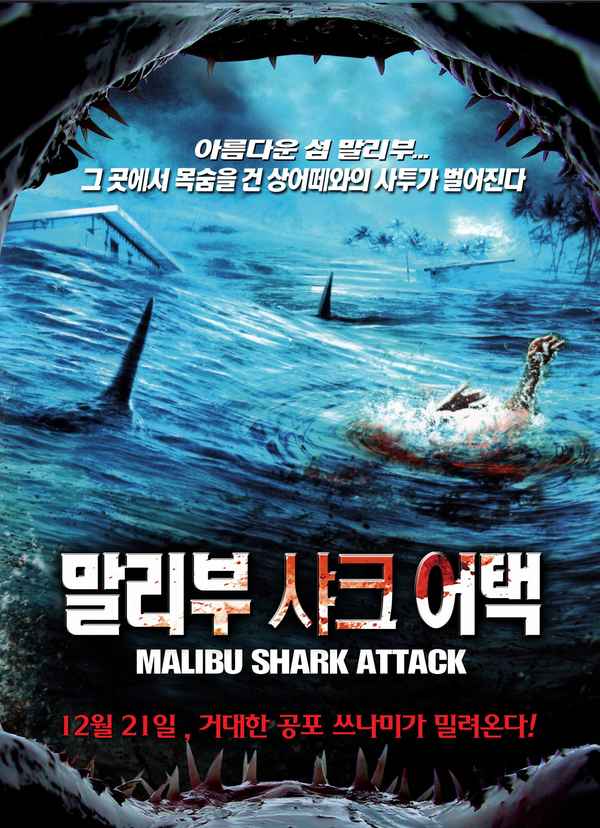 Malibu Shark Attack Poster 2