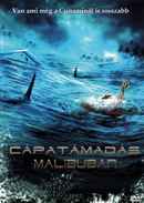 Malibu Shark Attack Poster 4