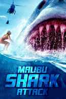 Malibu Shark Attack Poster 6
