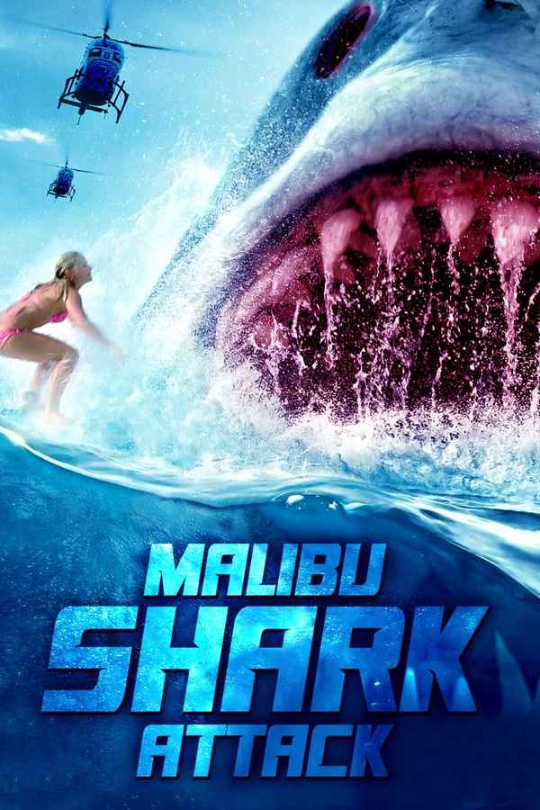 Malibu Shark Attack Poster 6
