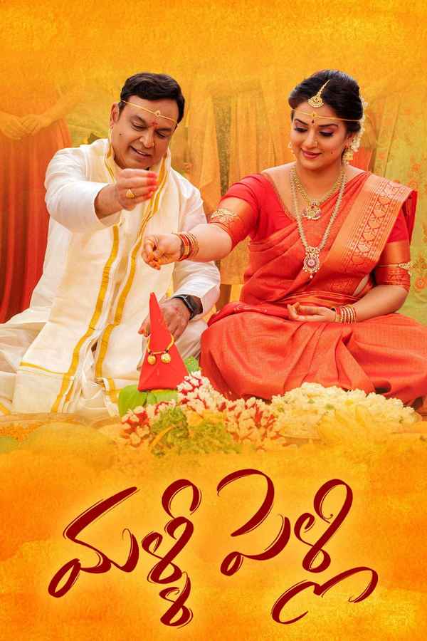 Malli Pelli Poster 4