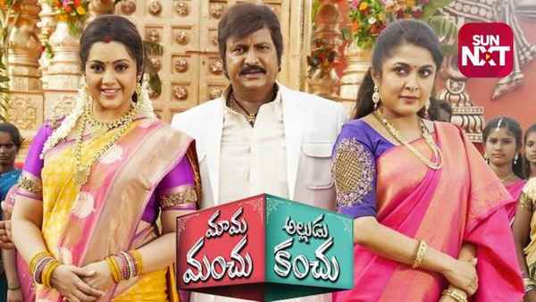 Mama Manchu Alludu Kanchu Poster 4