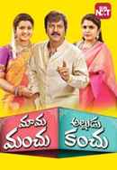 Mama Manchu Alludu Kanchu Poster 6
