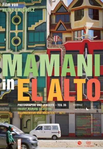 Mamani in El Alto