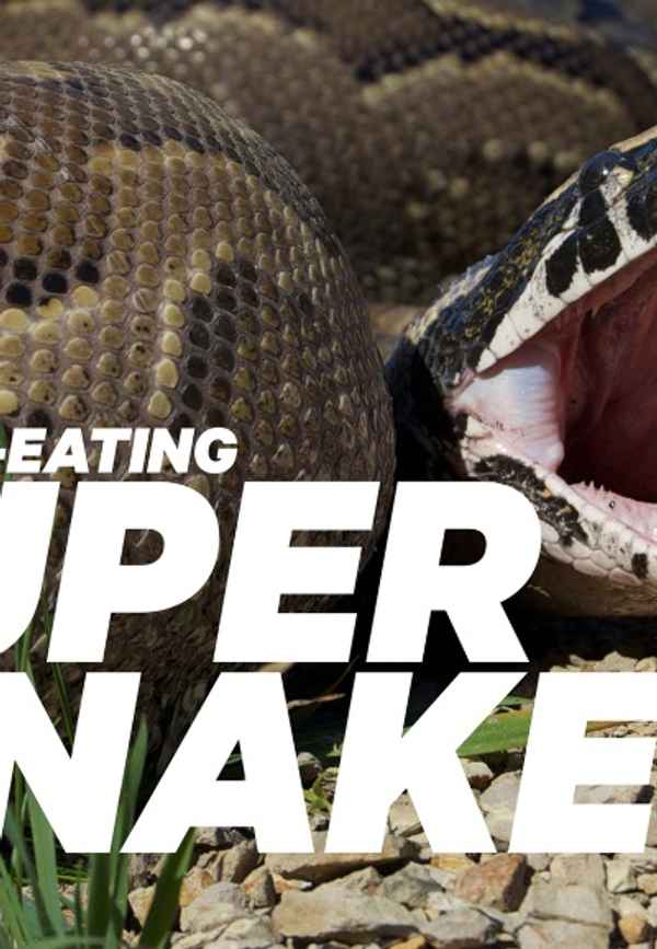 Man-Eating Super Snake Poster 4