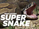 Man-Eating Super Snake Poster 1