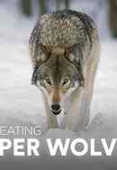 Man-Eating Super Wolves Poster 2