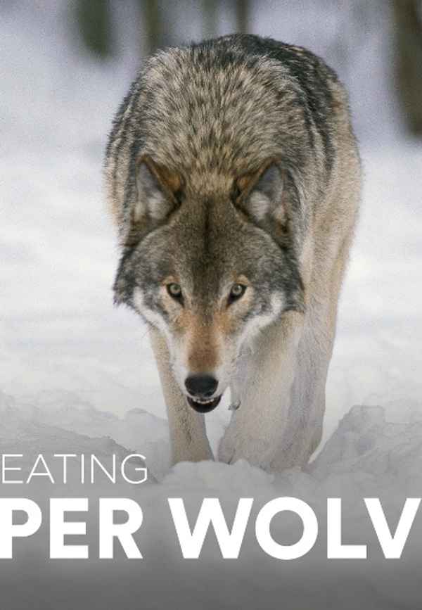 Man-Eating Super Wolves Poster 2