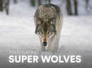 Man-Eating Super Wolves Poster 1