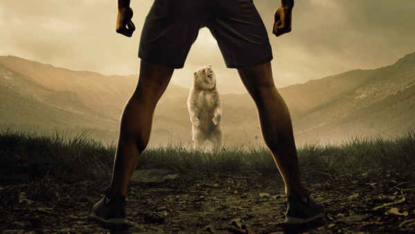 Man vs Bear Poster 1
