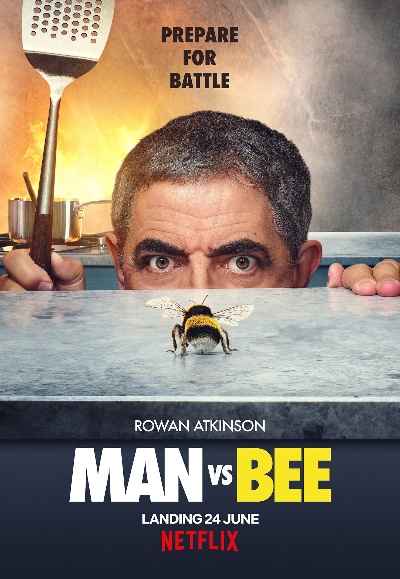 Man vs Bee