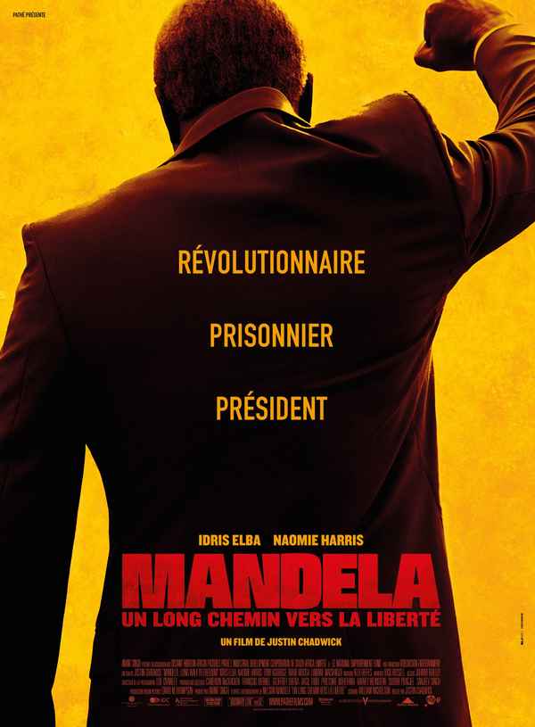Mandela: Long Walk to Freedom Poster 6