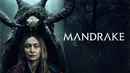 Mandrake Poster 1