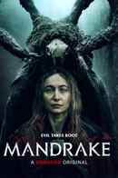 Mandrake Poster 6