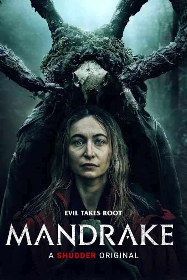 Mandrake Poster 6
