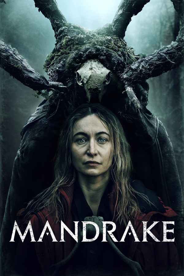 Mandrake Poster 3