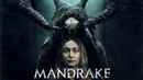 Mandrake Poster 4
