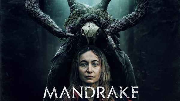 Mandrake Poster 4