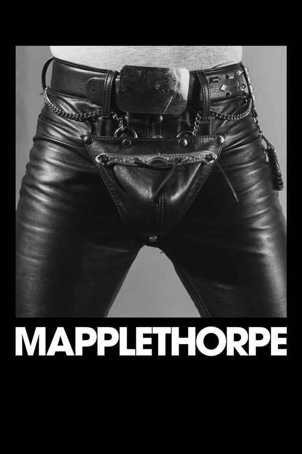 Mapplethorpe Poster 1