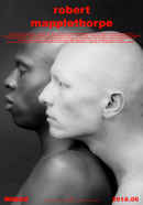 Mapplethorpe: Look at the Pictures Poster 3