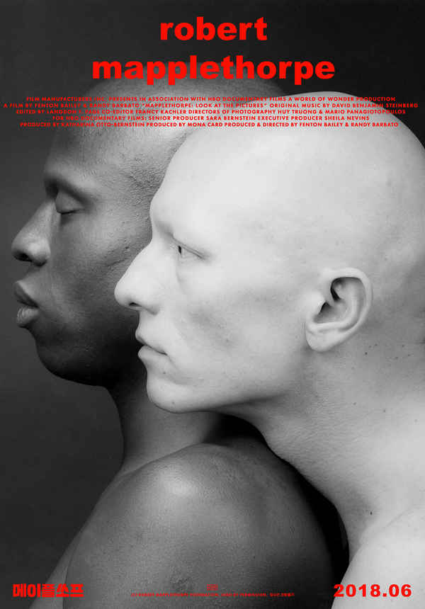 Mapplethorpe: Look at the Pictures Poster 3