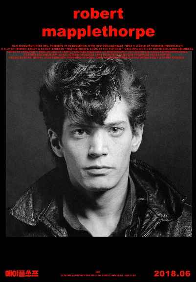 Mapplethorpe: Look at the Pictures