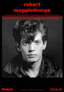 Mapplethorpe: Look at the Pictures Poster 4
