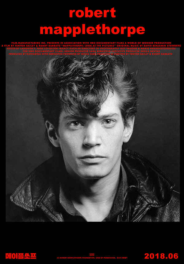 Mapplethorpe: Look at the Pictures Poster 4