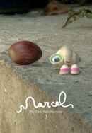 Marcel the Shell with Shoes On, Three Poster 5
