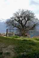 Mariner of the Mountains Poster 4