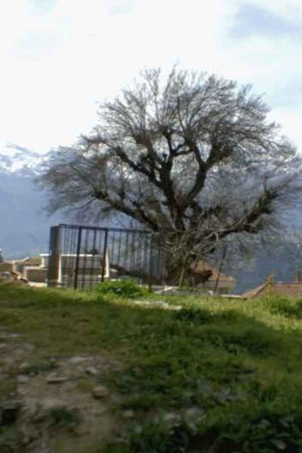 Mariner of the Mountains Poster 4