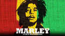 Marley Poster 4