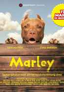 Marley Poster 4