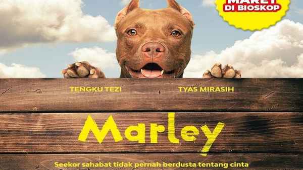 Marley Poster 3