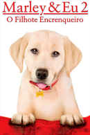 Marley & Me: The Puppy Years Poster 6