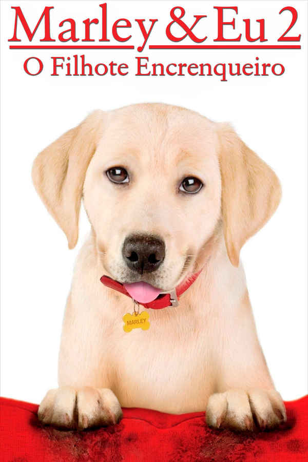 Marley & Me: The Puppy Years Poster 6