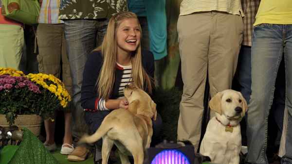 Marley & Me: The Puppy Years Poster 2