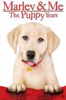 Marley & Me: The Puppy Years Poster 7