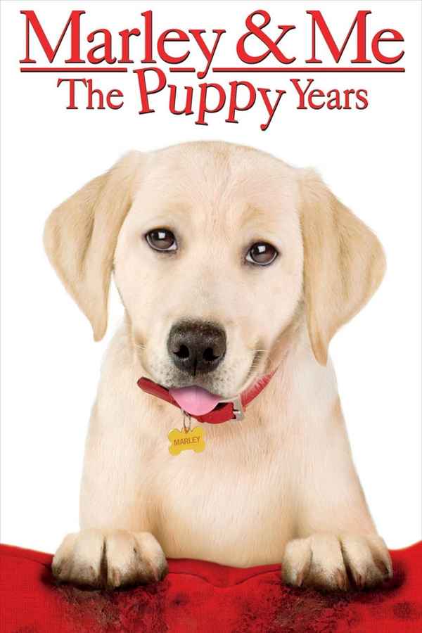 Marley & Me: The Puppy Years Poster 7