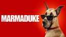 Marmaduke Poster 2