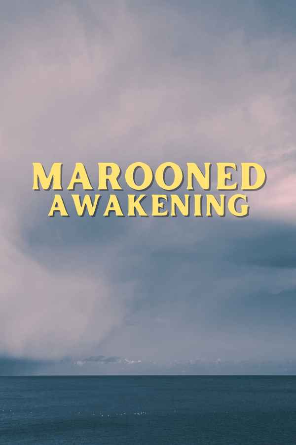 Marooned Awakening Poster 2
