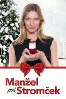 Married by Christmas Poster 4