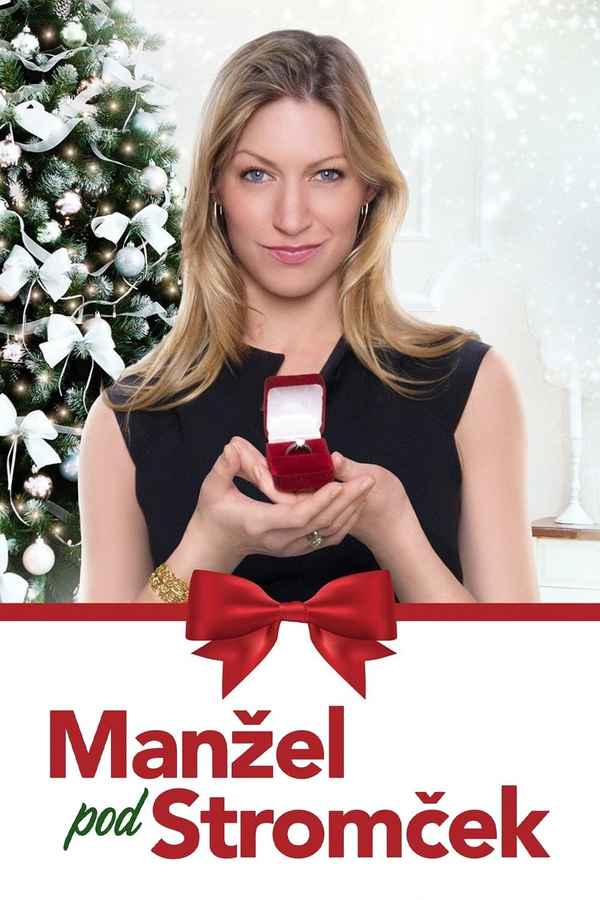 Married by Christmas Poster 4