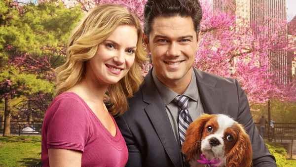 Marrying Mr. Darcy Poster 1