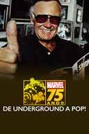 Marvel: 75 Years, From Pulp To Pop! Poster 5