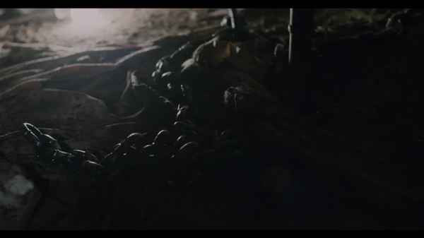 Mary Had A Little Lamb Poster 4