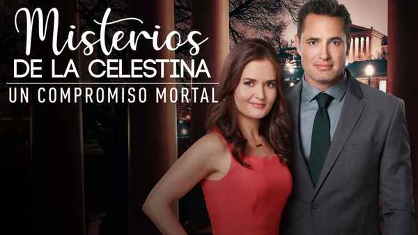 MatchMaker Mysteries: A Killer Engagement Poster 2