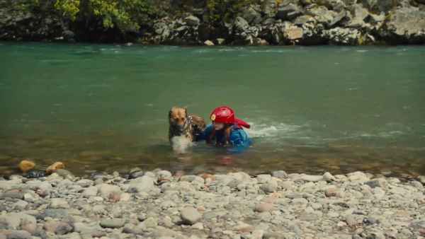 Max 2: White House Hero Poster 7