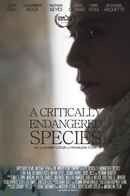 Maya Dardel Poster 6